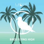 Möwe-Birds-flying-high